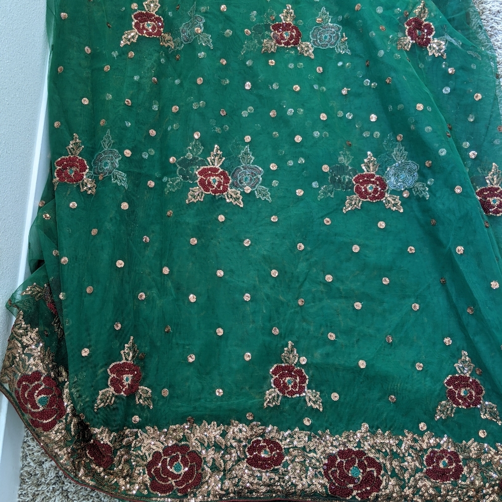 Saree - Picture 7 of 10
